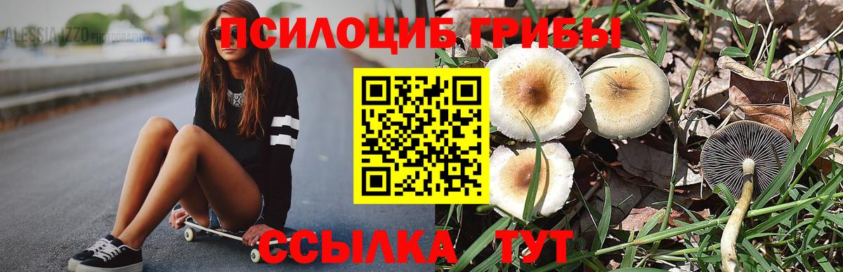 Шебекино  Псилоцибиновые грибы мухоморы  купить  сайты  Вход с VPN  Галлюциногенные грибы Cubensis 